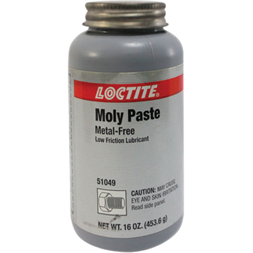 P&acirc;te en moly, 518 g, 750°F (400°C) temp&eacute;rature efficace max. Distribution Industrielle GC
