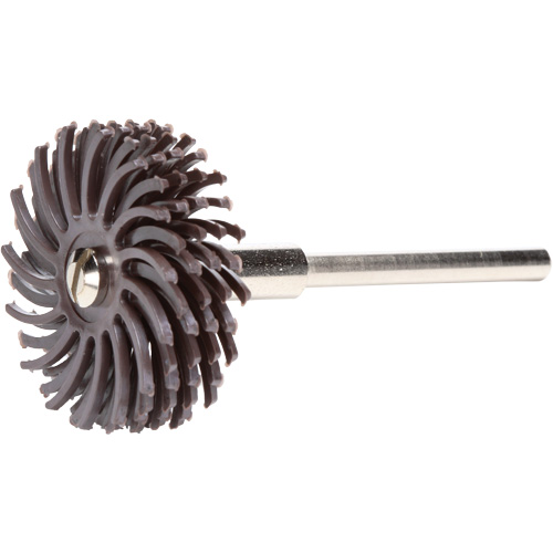 Scotch-Brite Radial Bristle Discs, Ceramic, 36X Grit, 1" Dia. Distribution Industrielle GC