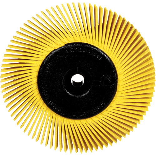 Brosses radiales bristle pour meuleuses d'&eacute;tabli, Grain 80X, 6" dia. Distribution Industrielle GC