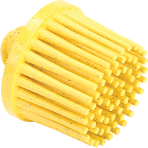 Disques bristle Roloc, Grain 80, 1" dia. Distribution Industrielle GC