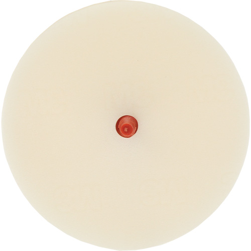 Scotch-Brite Moulding Adhesive & Stripe Removal Disc, 7501, 4" Dia. Distribution Industrielle GC
