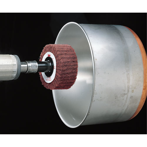 Brosses &agrave; lamelles Scotch-Brite Distribution Industrielle GC