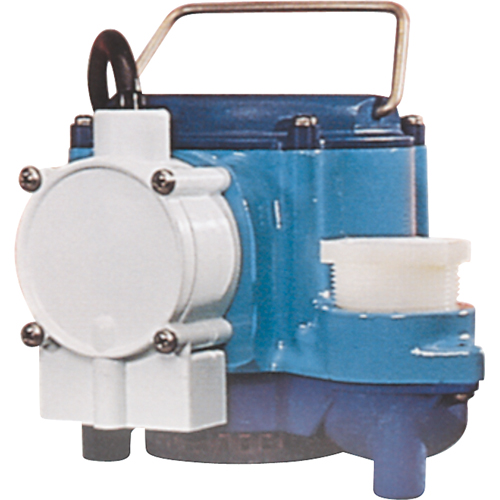 Pompes submersibles, 1/3 CV, 46 gal./h, 115 V, 9 A Distribution Industrielle GC