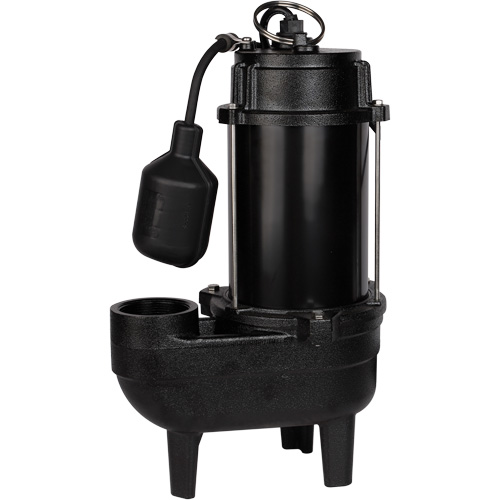 Pompe d'&eacute;gout en fonte, 120 V, 9,5 A, 6000 gal./h, 1/2 CV Distribution Industrielle GC