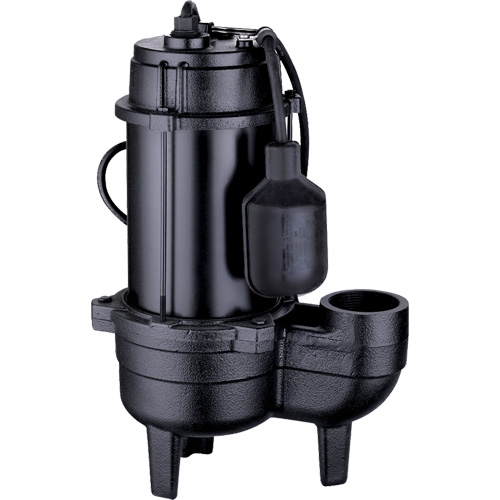 Pompe d'&eacute;gout en fonte, 120 V, 9,5 A, 6000 gal./h, 1/2 CV Distribution Industrielle GC