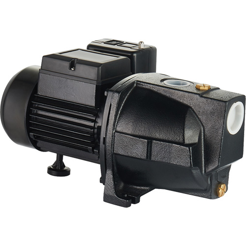 Dual Voltage Cast Iron Shallow Well Jet Pump, 115 V/230 V, 1100 GPH, 1 HP Distribution Industrielle GC