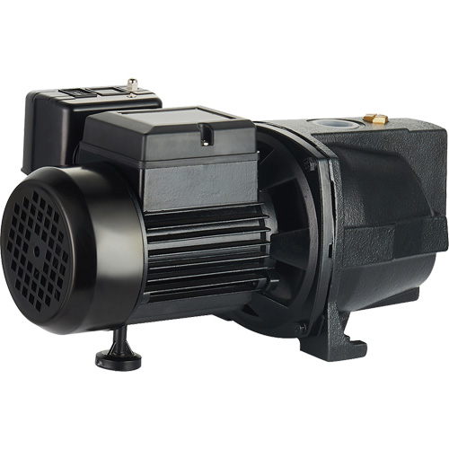 Dual Voltage Cast Iron Shallow Well Jet Pump, 115 V/230 V, 1100 GPH, 1 HP Distribution Industrielle GC