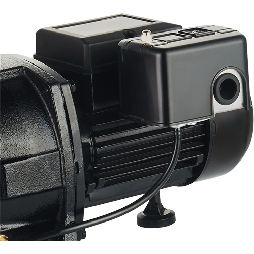 Dual Voltage Cast Iron Shallow Well Jet Pump, 115 V/230 V, 1100 GPH, 1 HP Distribution Industrielle GC