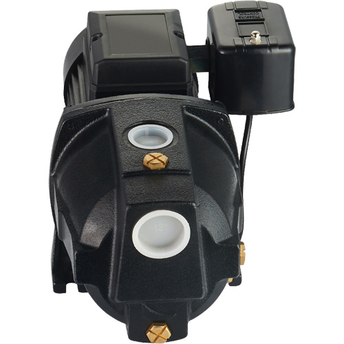 Dual Voltage Cast Iron Shallow Well Jet Pump, 115 V/230 V, 1100 GPH, 1 HP Distribution Industrielle GC
