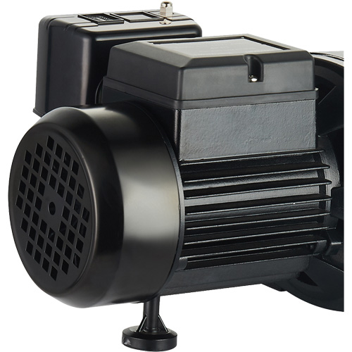 Dual Voltage Cast Iron Shallow Well Jet Pump, 115 V/230 V, 1100 GPH, 1 HP Distribution Industrielle GC
