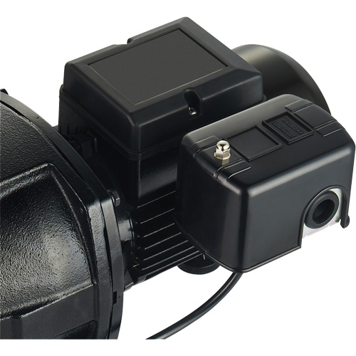 Dual Voltage Cast Iron Shallow Well Jet Pump, 115 V/230 V, 1100 GPH, 1 HP Distribution Industrielle GC