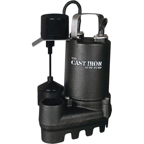Pompe de puisard submersible en fonte avec interrupteur &agrave; flotteur vertical, 67 gal./min, 33 V, 5 A, 1/3 CV Distribution Industrielle GC