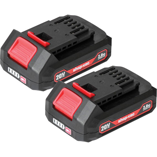 Piles au lithium 2.0Ah- Paquet de 2, 20 V Distribution Industrielle GC