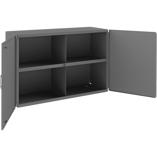 Wall-Mountable Cabinet, 24" H x 33-13/16" W x 12-3/8" D, 1 Shelves, Steel, Grey Distribution Industrielle GC