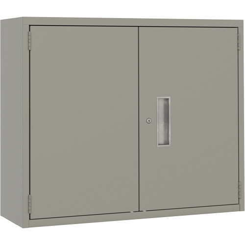 Armoire murale, Acier, 2 Tablettes, 30" h x 36" la x 12" P, Gris Distribution Industrielle GC