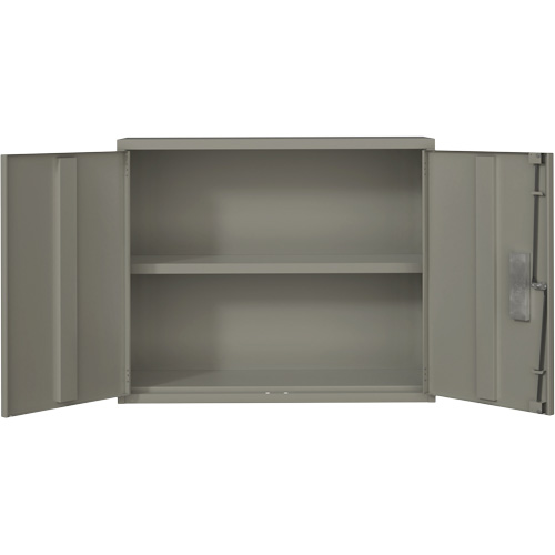Armoire murale, Acier, 2 Tablettes, 30" h x 36" la x 12" P, Gris Distribution Industrielle GC
