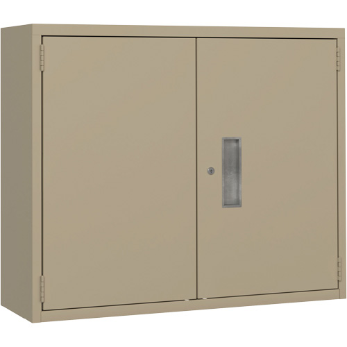 Armoire murale, Acier, 2 Tablettes, 30" h x 36" la x 12" P, Beige Distribution Industrielle GC