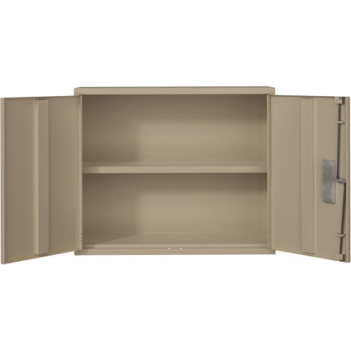 Armoire murale, Acier, 2 Tablettes, 30" h x 36" la x 12" P, Beige Distribution Industrielle GC