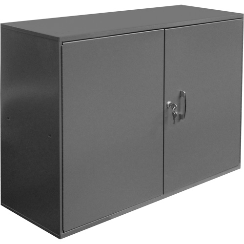 Armoire pour accessoires abrasifs, Acier, 2 tiroirs, 33-3/4" x 11-7/8" x 23-7/8", Gris Distribution Industrielle GC