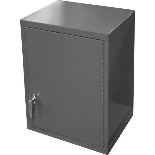 Armoire murale, 27" h x 13-11/16" la x 18" p, 2 tablettes, Acier, Gris Distribution Industrielle GC