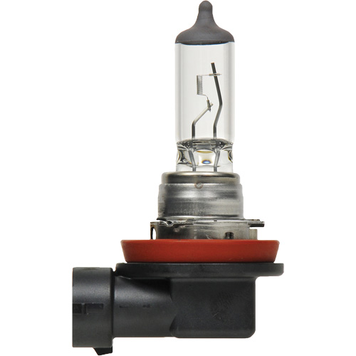 Ampoule de base pour feu avant H8, Halog&egrave;ne, 35 W, Blanc cass&eacute; Distribution Industrielle GC