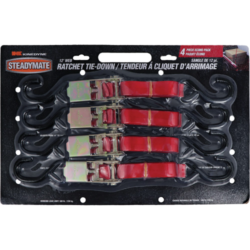 Tendeurs d'arrimage &agrave; cliquet, Crochet en S, 1" , 12' , Charge d'utilisation max. 500 lb (230 kg) Distribution Industrielle GC