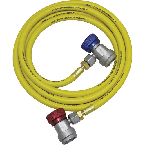 R134a A/C System Flush Hose Assembly Distribution Industrielle GC
