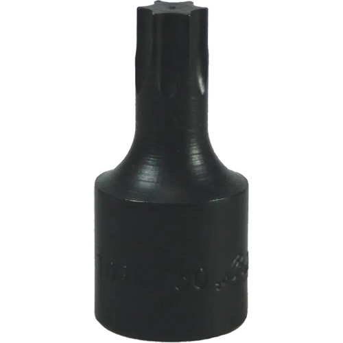 Embout Torx&reg; T-50 Distribution Industrielle GC