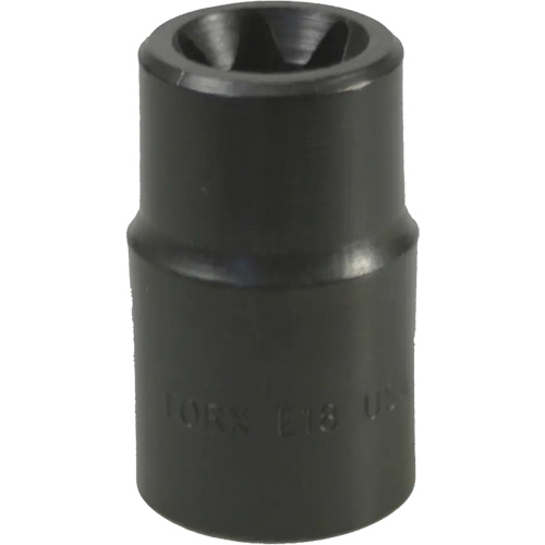 Douille Torx&reg; E-18 Distribution Industrielle GC
