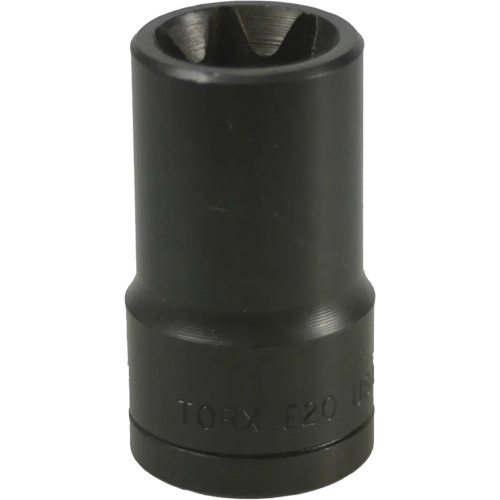 Douille Torx&reg; E-20 Distribution Industrielle GC