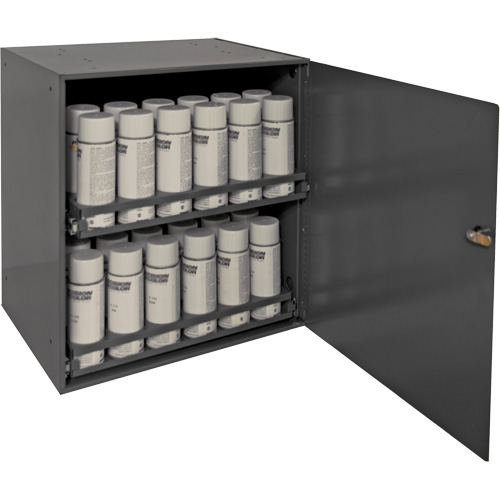Armoire de rangement pour contenants a&eacute;rosol, Acier, 21-7/8" h x 15-15/16" la x 20-5/16" P, Gris Distribution Industrielle GC