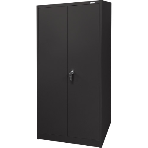 Armoire d'entreposage, Acier, 4 Tablettes, 66" h x 30" la x 15" P, Noir Distribution Industrielle GC