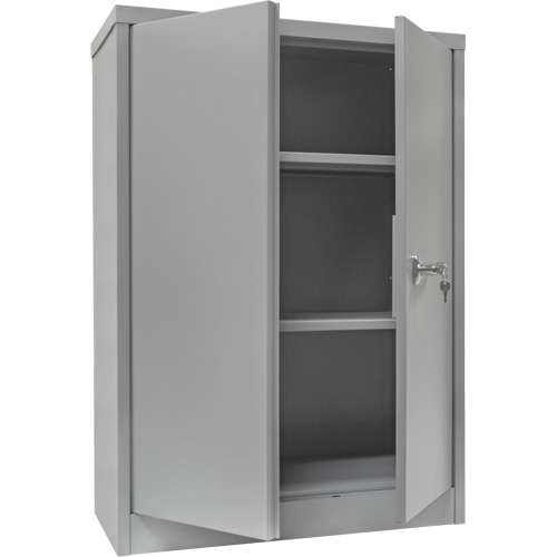 Counter-High Storage Cabinet, Steel, 2 Shelves, 42" H x 30" W x 15" D, Grey Distribution Industrielle GC