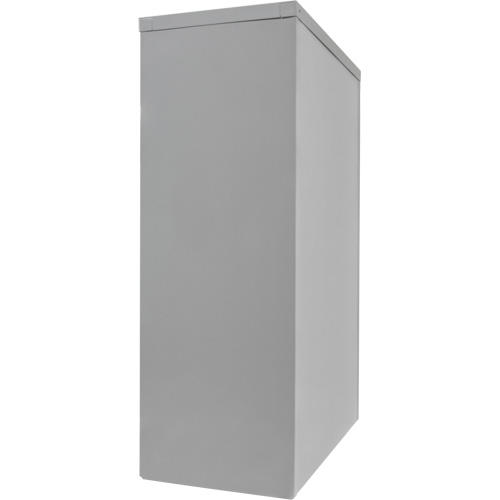 Counter-High Storage Cabinet, Steel, 2 Shelves, 42" H x 30" W x 15" D, Grey Distribution Industrielle GC