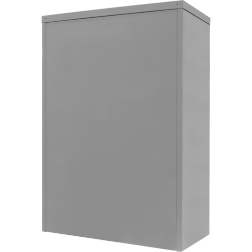 Counter-High Storage Cabinet, Steel, 2 Shelves, 42" H x 30" W x 15" D, Grey Distribution Industrielle GC