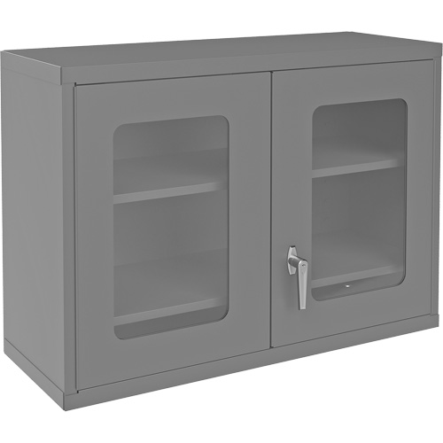 Armoire de rangement murale avec portes transparentes, 26-15/16" h x 35-7/8" la x 13-11/16" p, 2 tablettes, Acier, Gris Distribution Industrielle GC