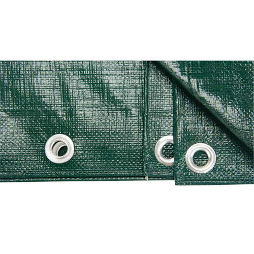 B&acirc;che, Robuste, Vert, 10' x 8' x 9 mils Distribution Industrielle GC