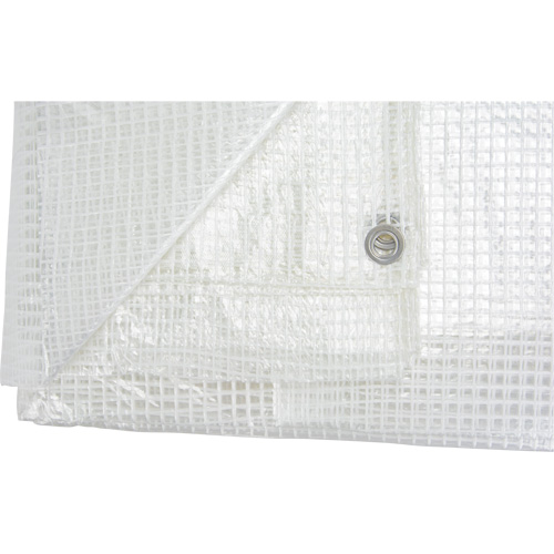 B&acirc;ches transparentes, 12' x 10' x 8 mils Distribution Industrielle GC