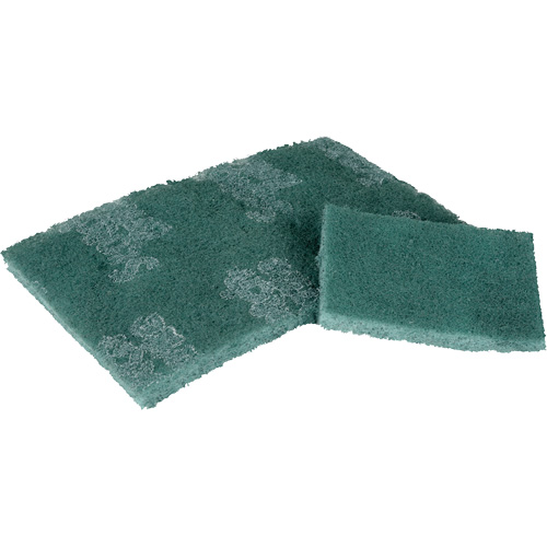 Tampon de r&eacute;curage, 3" lo x 4-1/2" la Distribution Industrielle GC