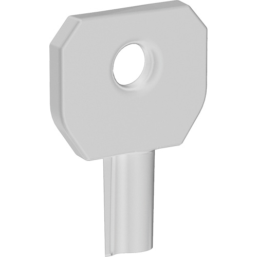 Cl&eacute; pour distributeur Lock or Not Distribution Industrielle GC