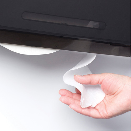 Cored JRT Combo Unit Toilet Paper Dispenser, Multiple Roll Capacity Distribution Industrielle GC