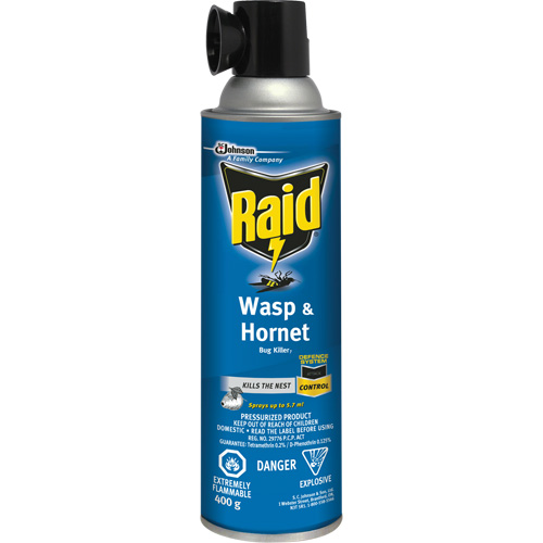 Raid&reg; Wasp & Hornet Bug Killer, 400 g, Solvent Base Distribution Industrielle GC