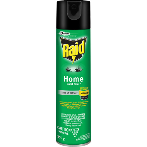 Raid&reg; Home Insect Killer, 350 g, Solvent Base Distribution Industrielle GC