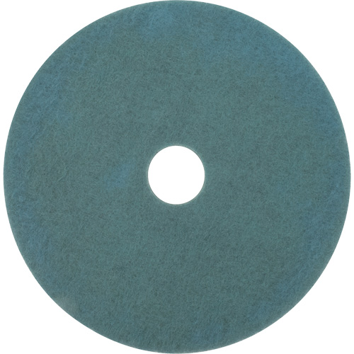 Tampon pour planchers, 17", Brunissage, Aqua Distribution Industrielle GC