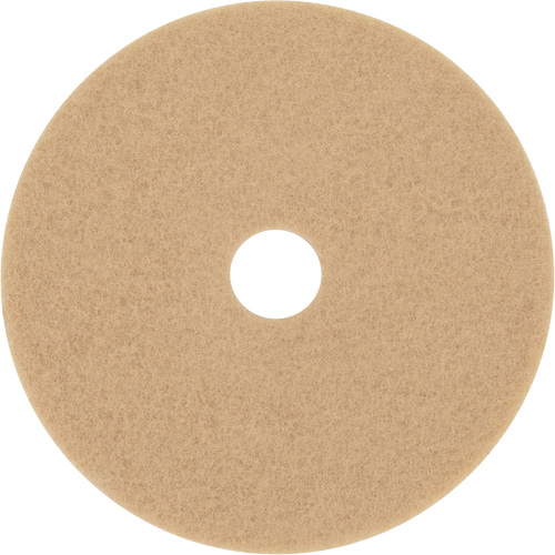 Trizact Diamond TZ Abrasive Strip, 20", Burnishing, Beige Distribution Industrielle GC