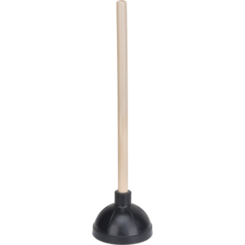 Heavy-Duty Plunger Distribution Industrielle GC