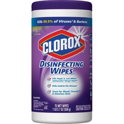 Lingettes d&eacute;sinfectantes, 75 lingettes Distribution Industrielle GC