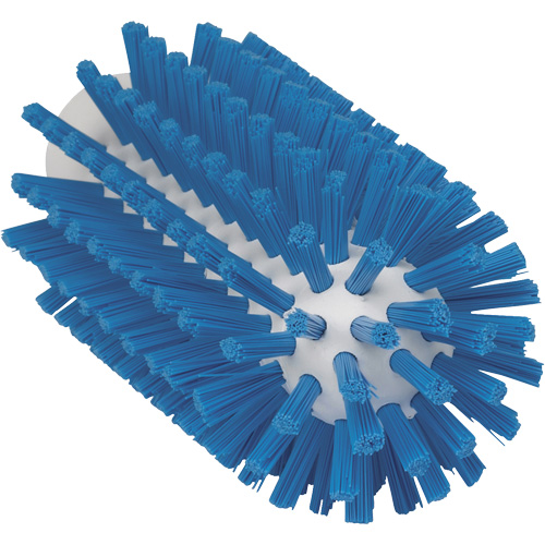 2.5" Brush, Stiff Bristles, 5-3/5" Long, Blue Distribution Industrielle GC