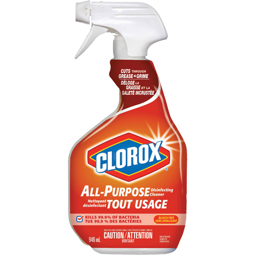 All-Purpose Disinfecting Cleaner Spray, 946 ml, Trigger Bottle Distribution Industrielle GC