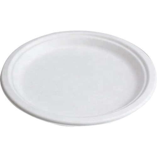 Compostable Plates Distribution Industrielle GC